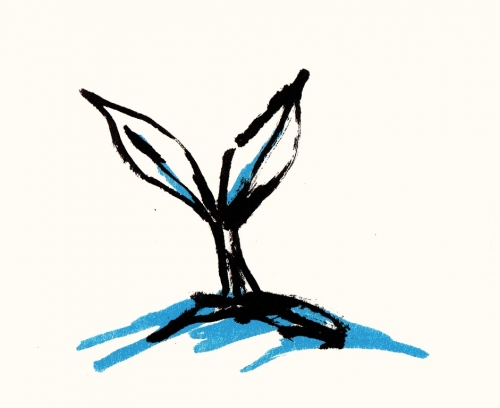Foto 1